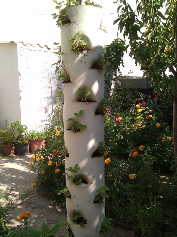 IMG_20120802_104935.jpg