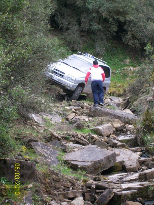 100_0471 (687 x 916).jpg
