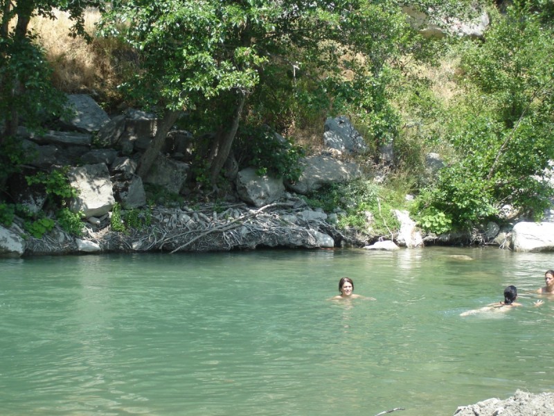 DSC02129.jpg