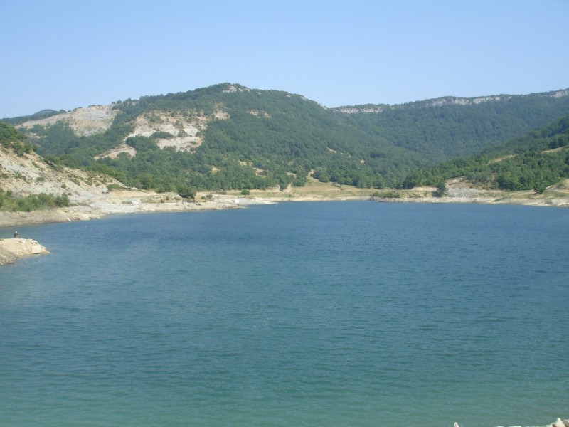 DSC02133.jpg