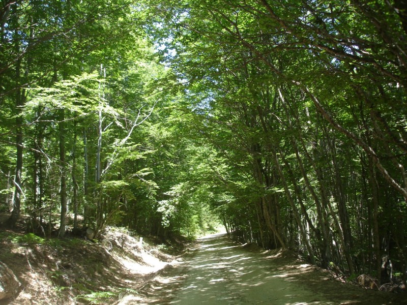 DSC02154.jpg