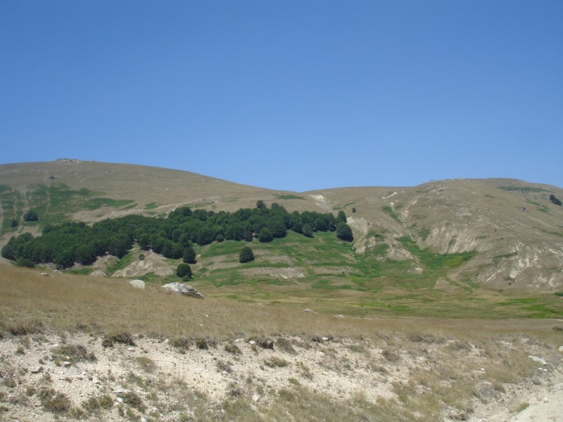 DSC02155.jpg