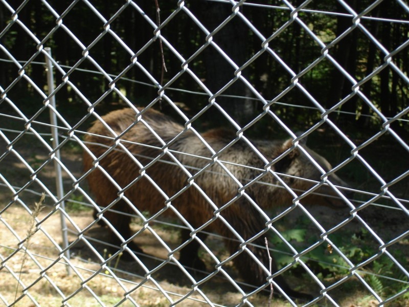 DSC02165.jpg