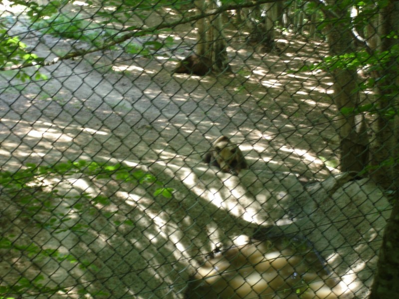DSC02169.jpg