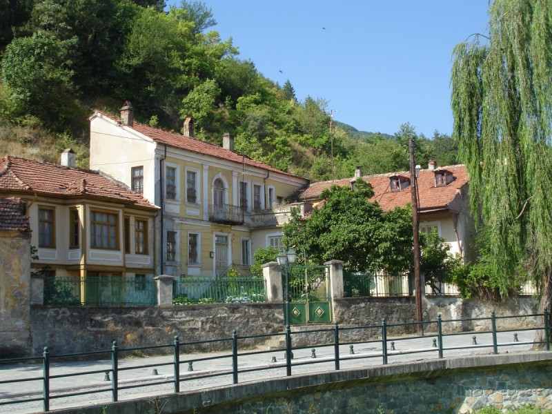 DSC02174.jpg