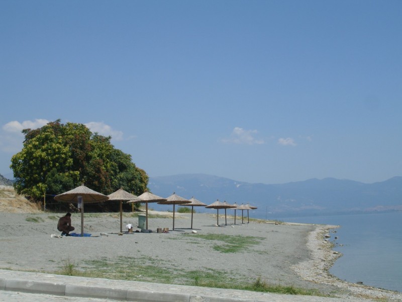 DSC02190.jpg
