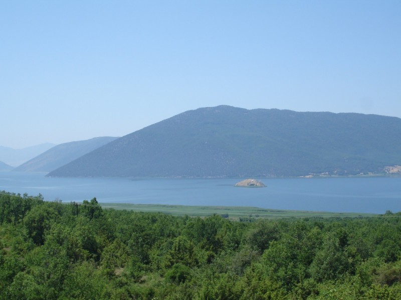 DSC02194.jpg