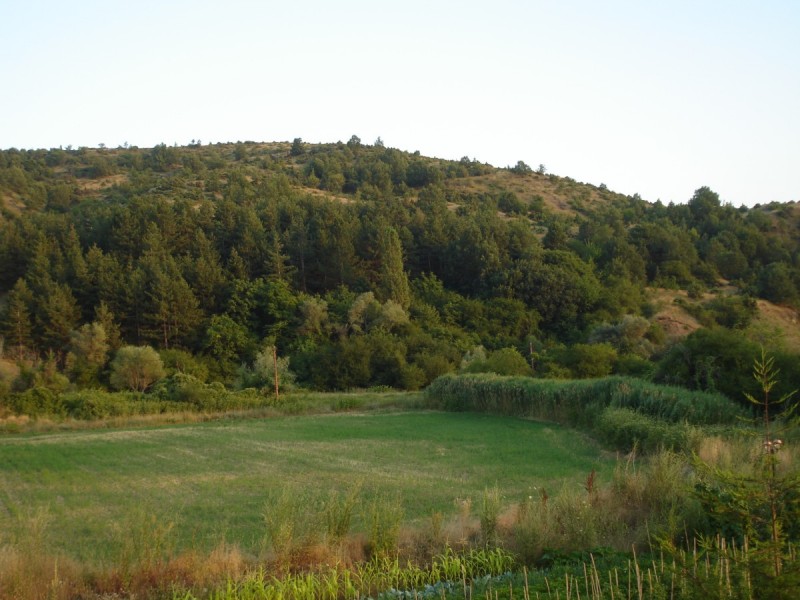 DSC02200.jpg