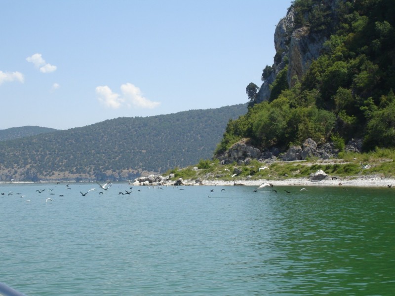 DSC02217.jpg
