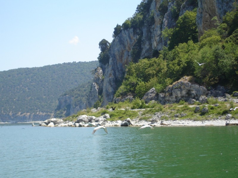 DSC02218.jpg