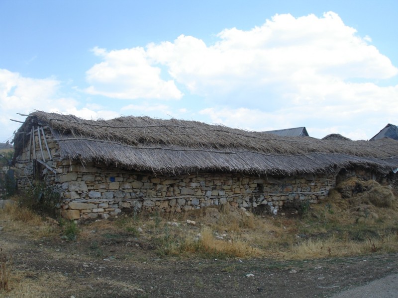 DSC02234.jpg