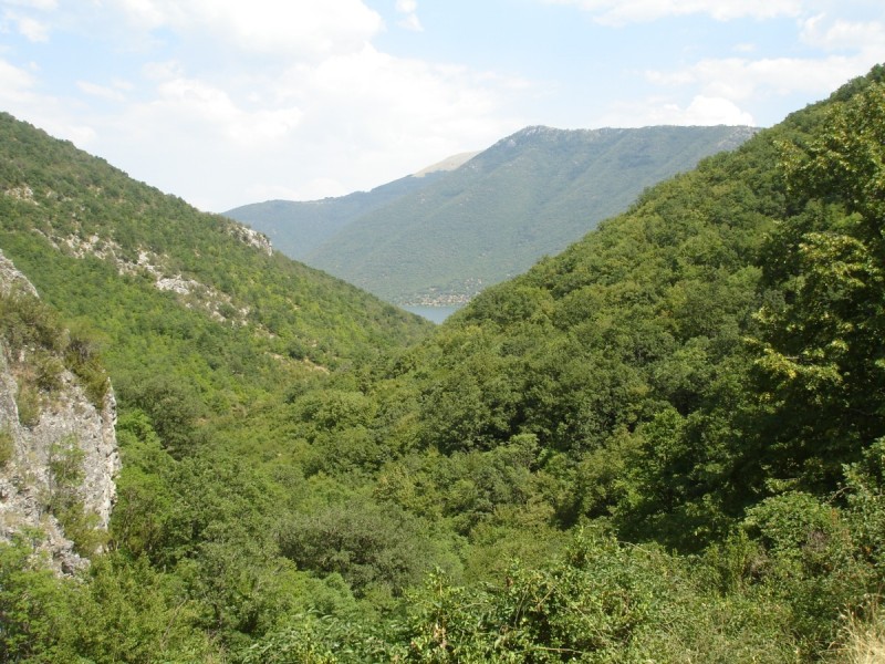 DSC02235.jpg