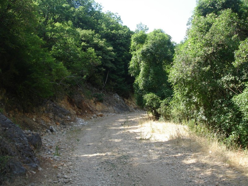 DSC02252.jpg