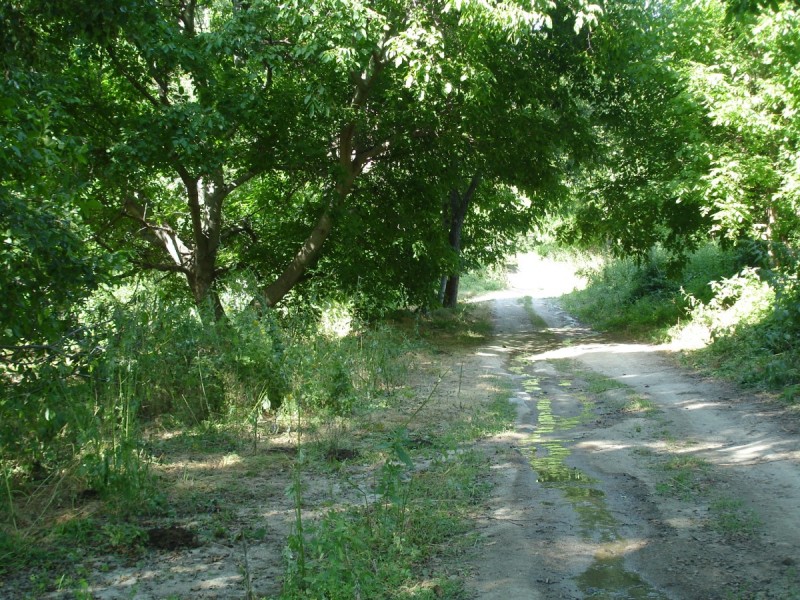 DSC02284.jpg
