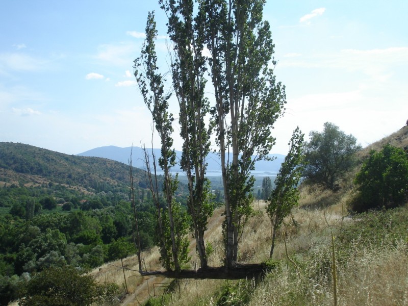 DSC02286.jpg