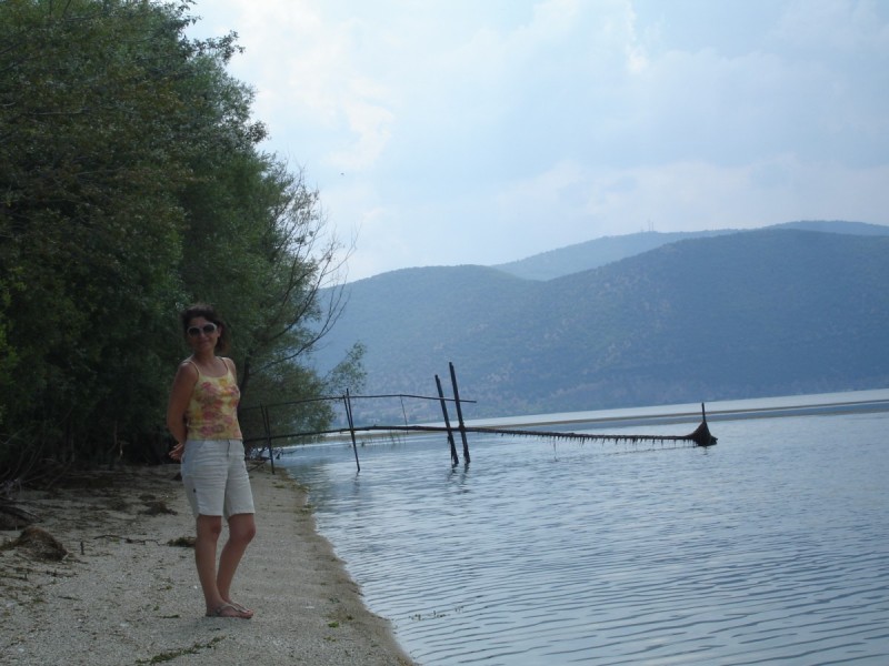 DSC02292.jpg