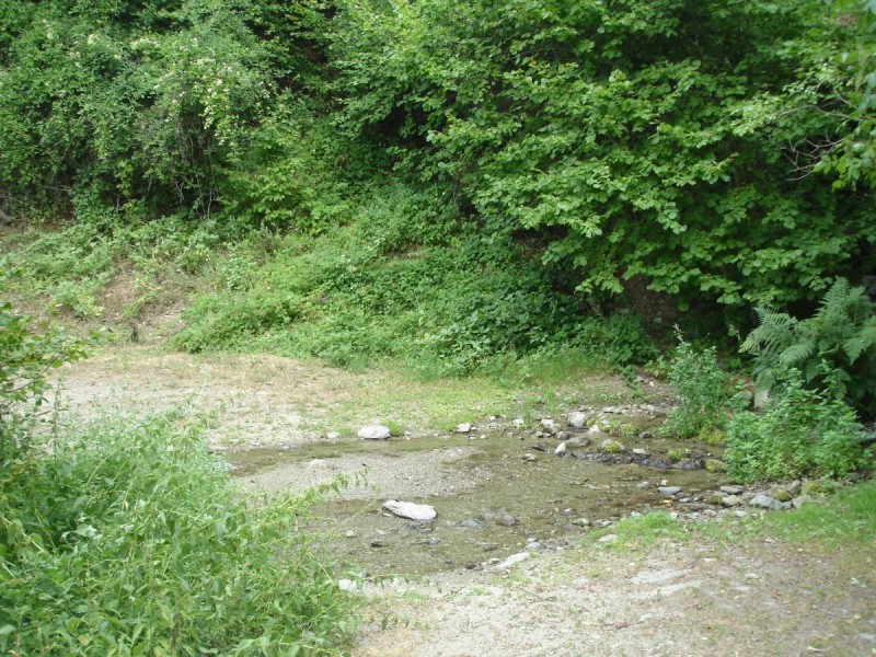DSC02295.jpg