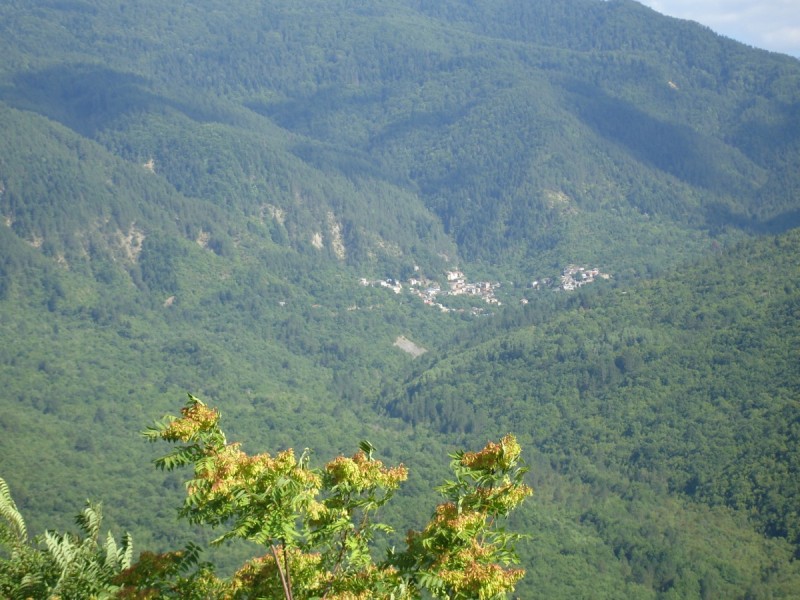 DSC02305.jpg