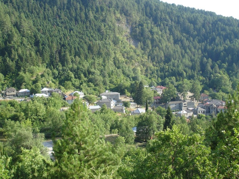 DSC02306.jpg