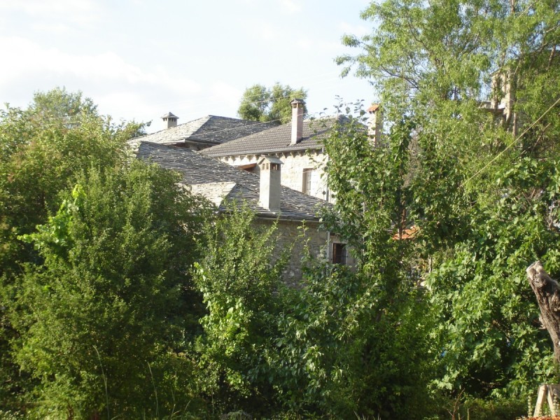 DSC02310.jpg