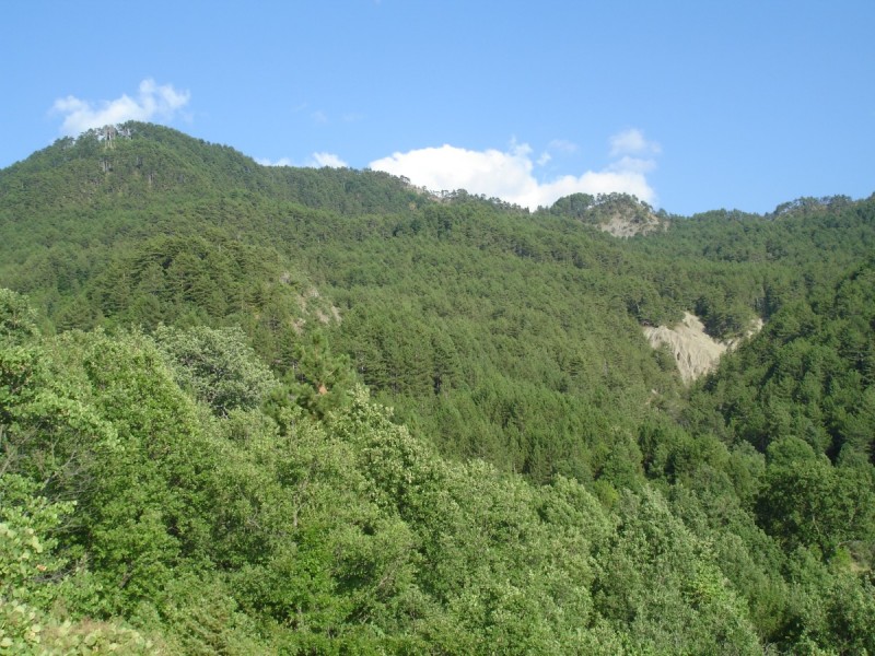 DSC02307.jpg