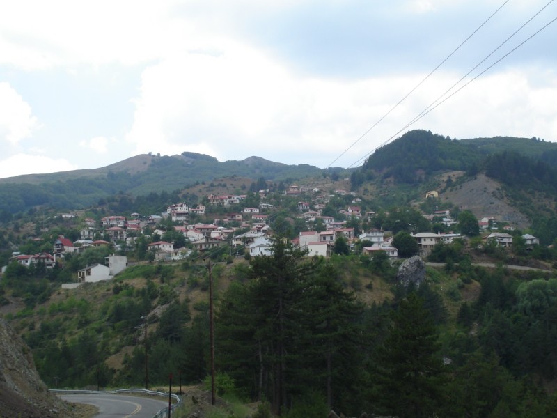DSC02334.jpg