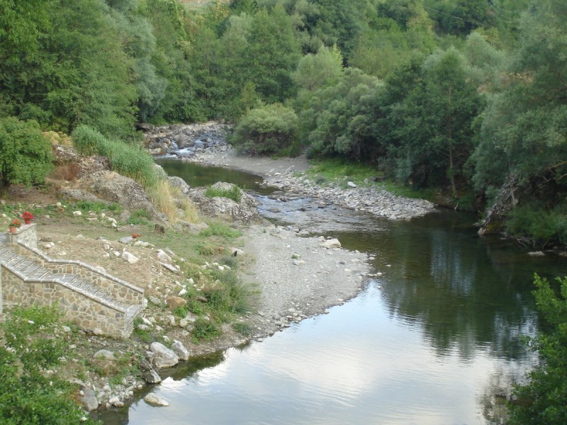 DSC02345.jpg