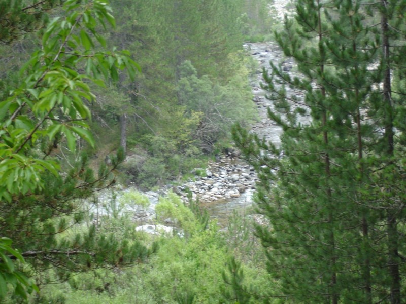 DSC02384.jpg