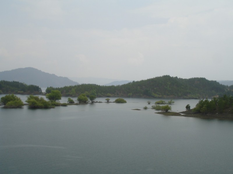 DSC02387.jpg