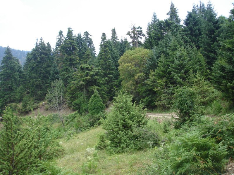 DSC02404.jpg