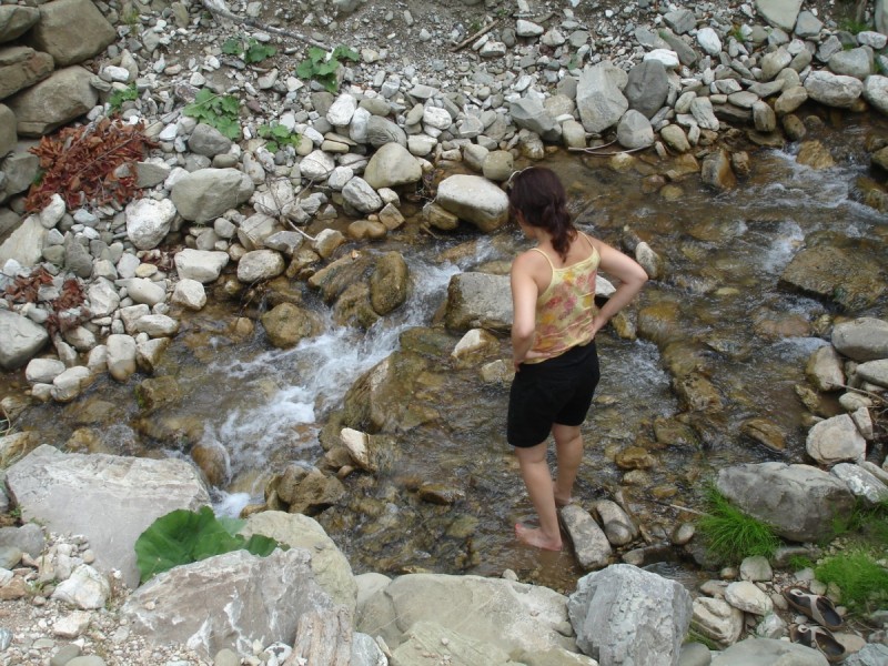 DSC02405.jpg