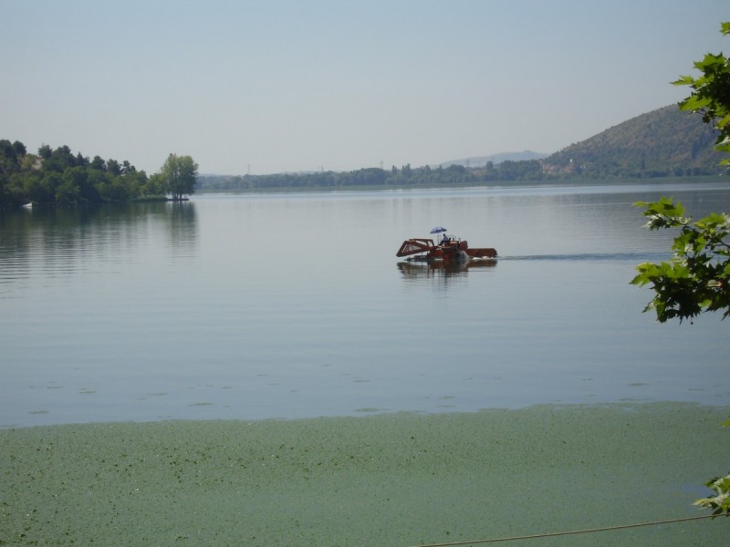 DSC02074.jpg