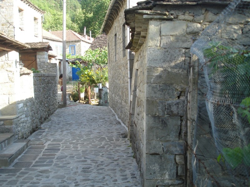 DSC02308.jpg