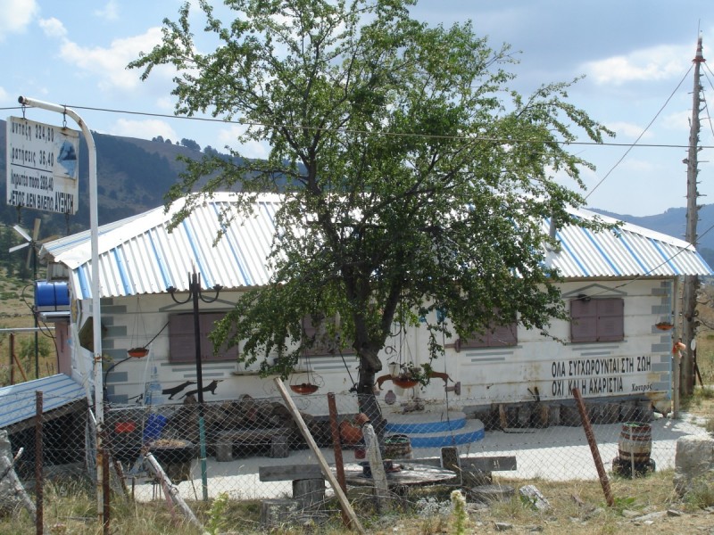 DSC02324.jpg