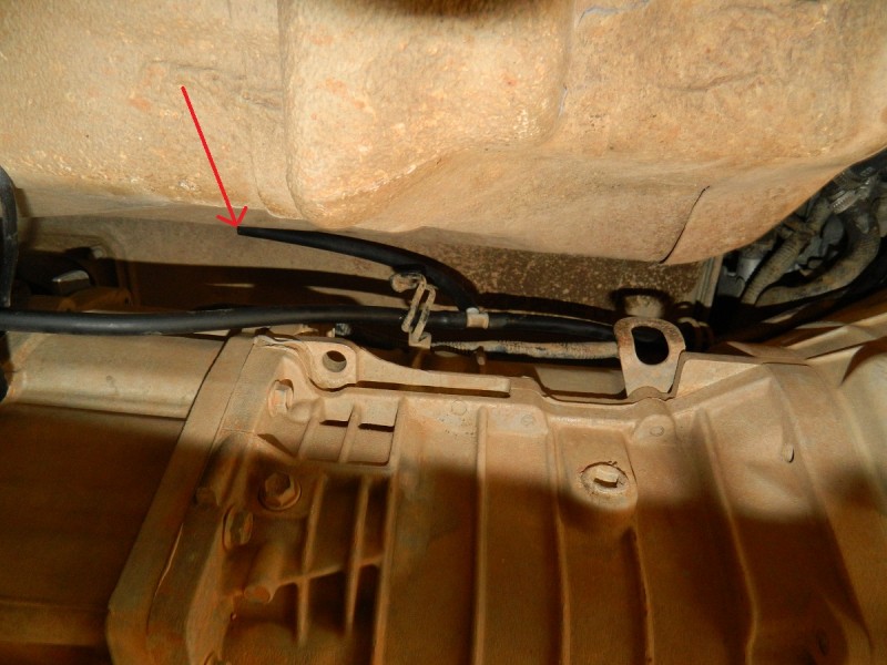 DSCN2956.JPG