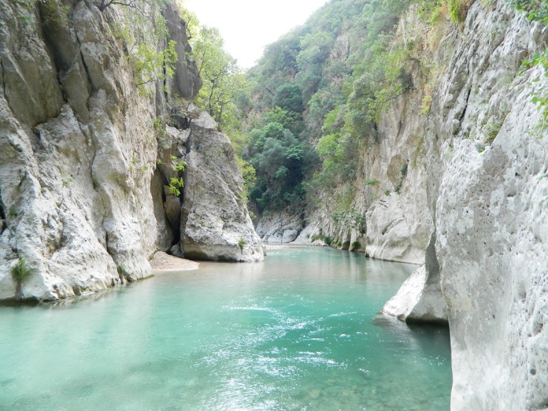 DSCN2752.JPG