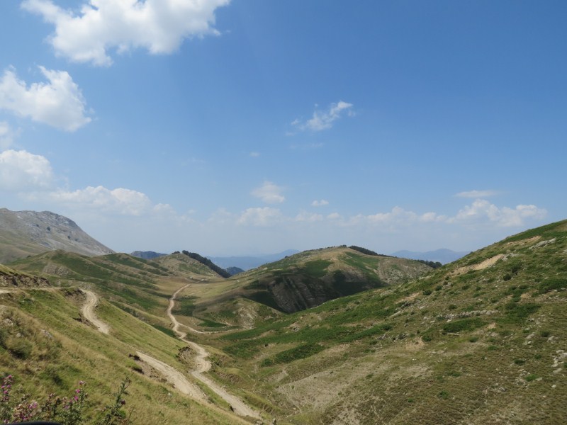 IMG_0795.jpg