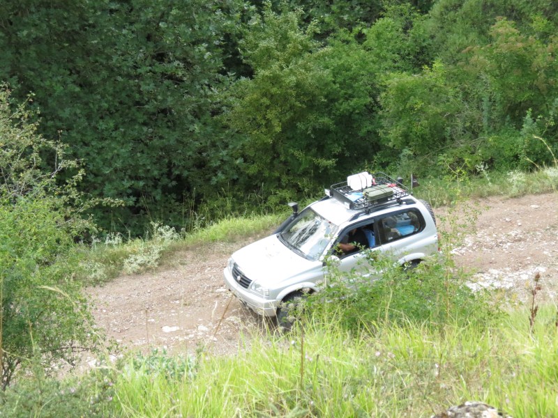 IMG_0809.jpg