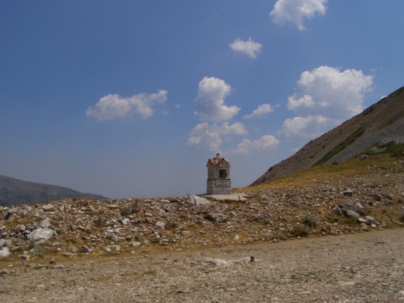 P8062120.jpg