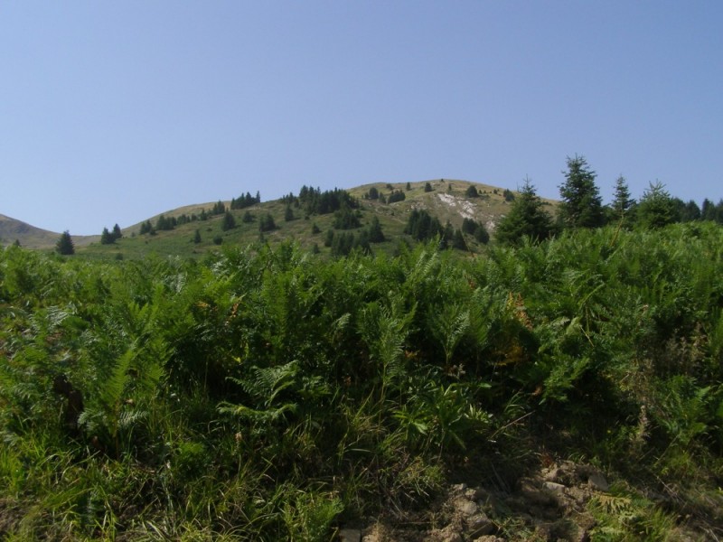 P8072137.jpg