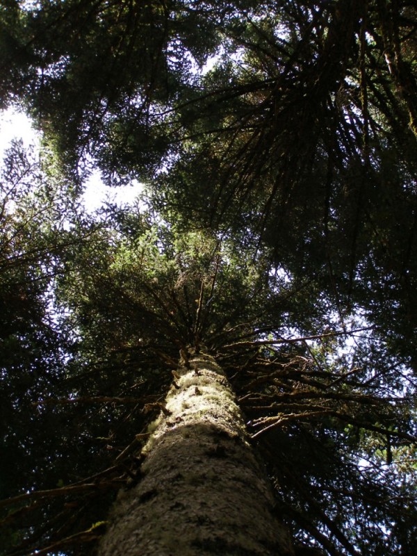 P8082149.jpg