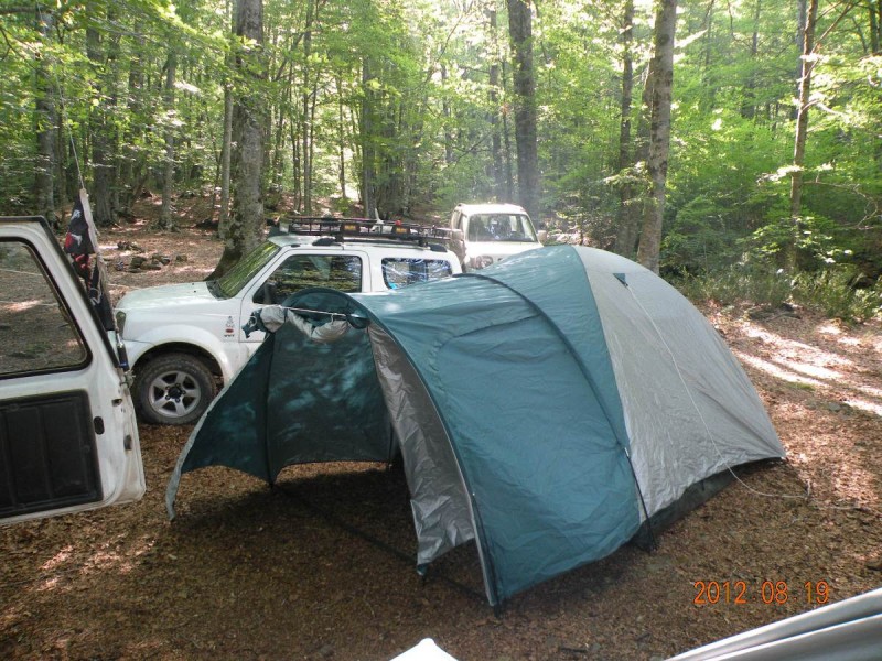 DSCN6516v.JPG