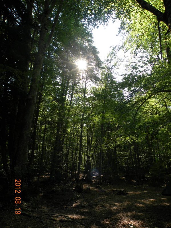 DSCN6518v.JPG