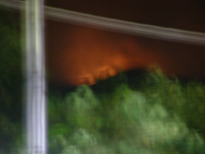 P8212330 (700 x 525).jpg