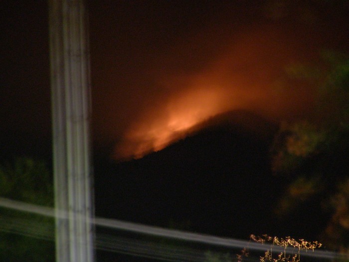 P8212331 (700 x 525).jpg