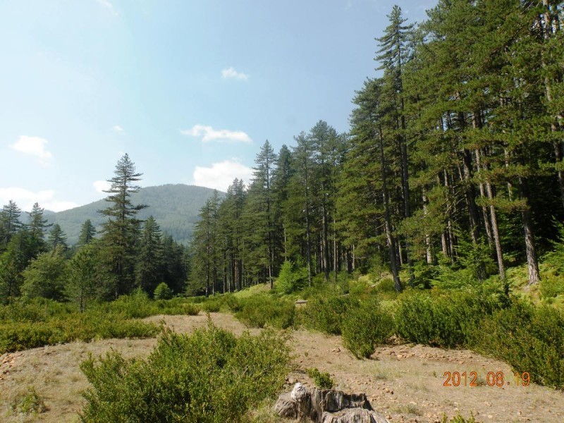 DSCN6534v.JPG