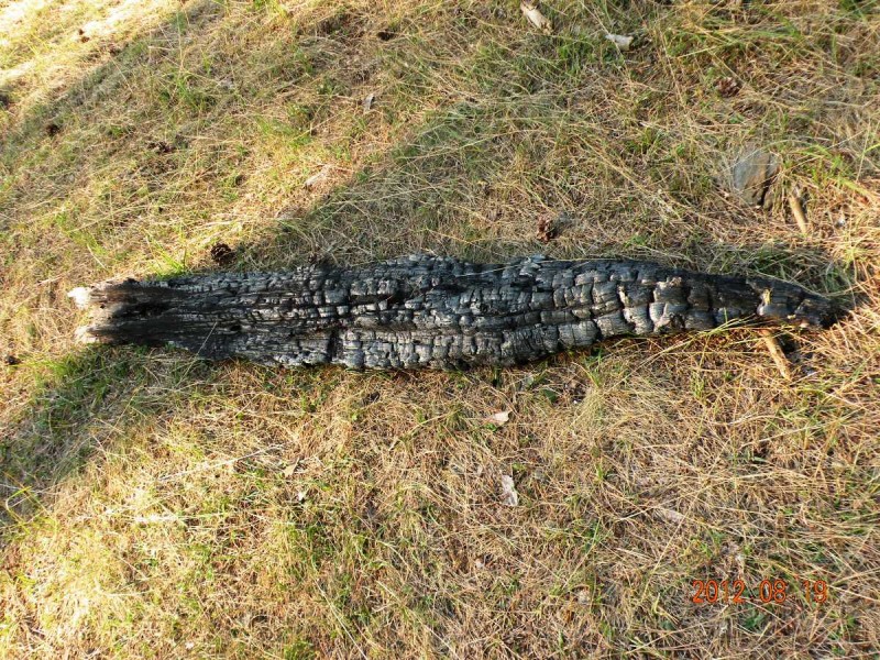 DSCN6583v.JPG