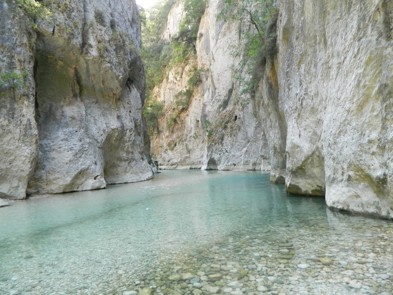 DSCN2781.JPG