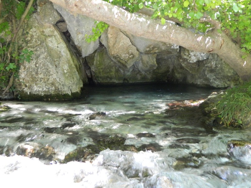 DSCN2798.JPG