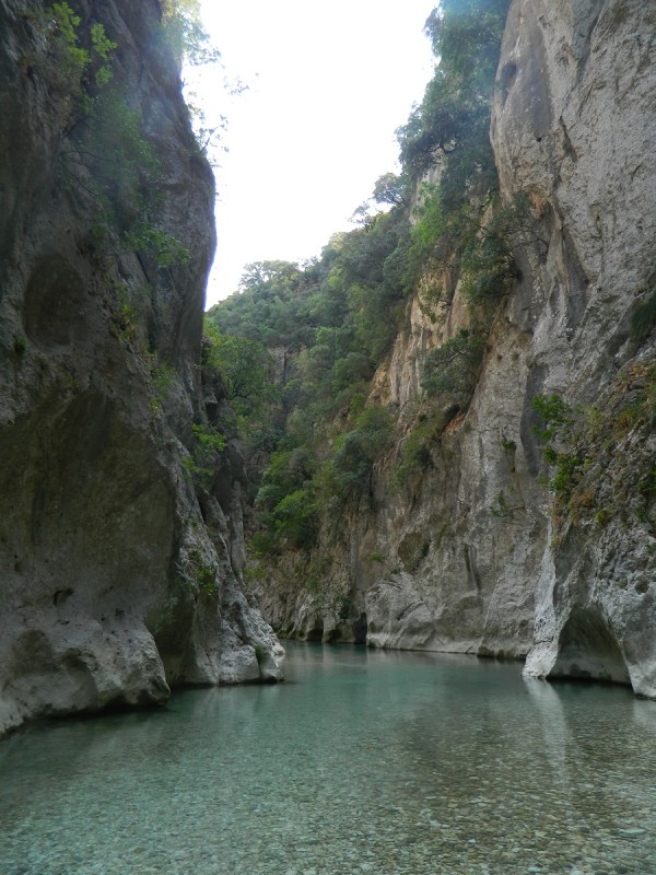 DSCN2810.JPG